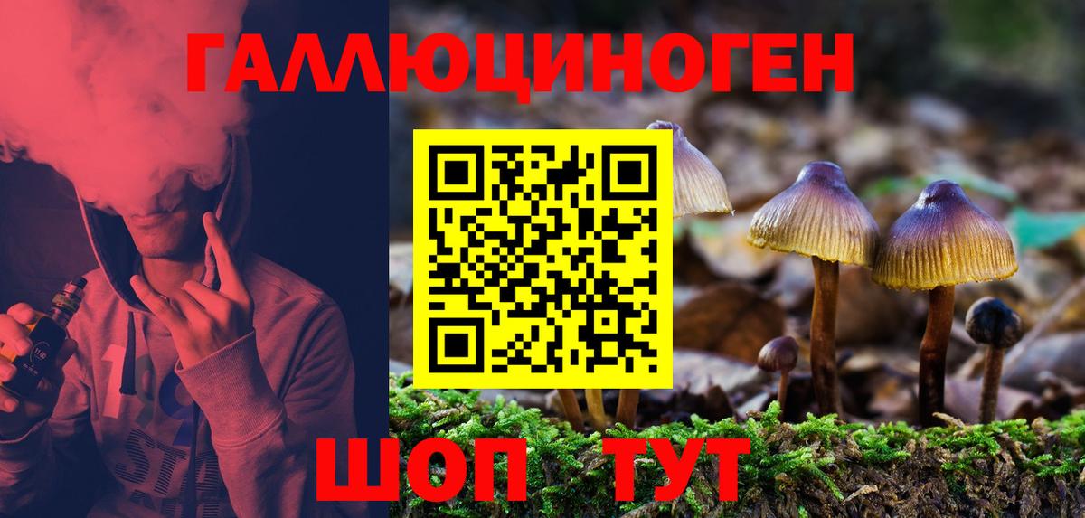 Псилоцибиновые грибы мицелий Карабулак